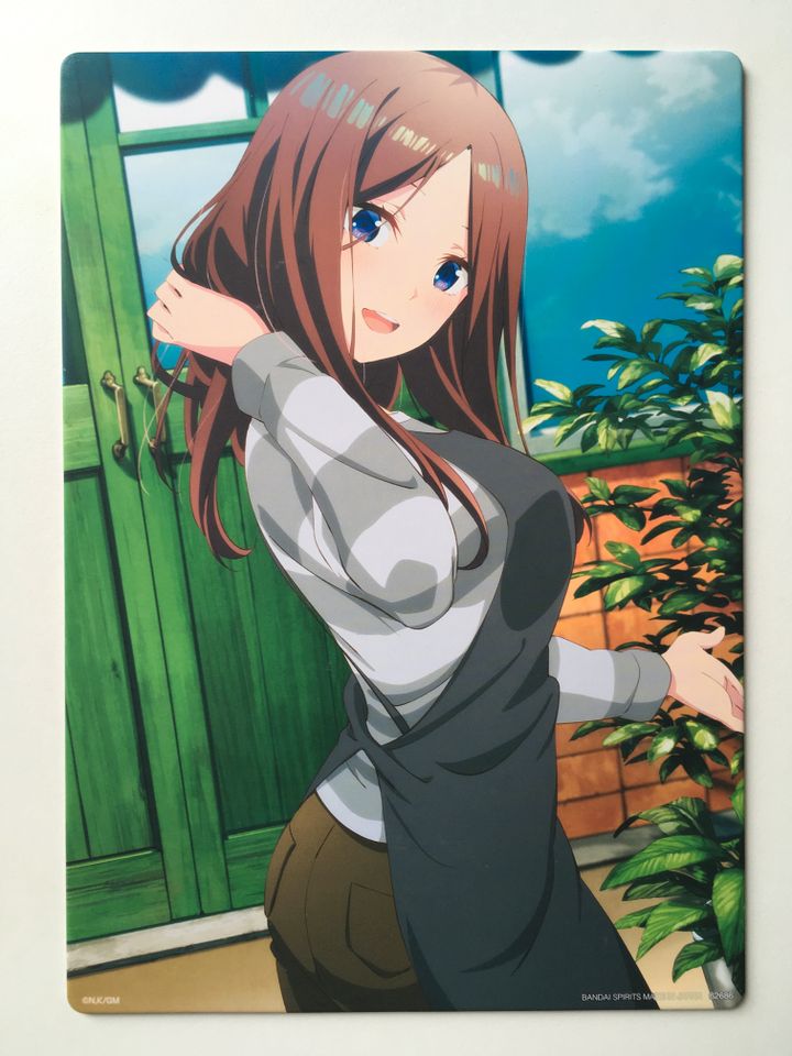 Graphic Novel Manga Anime „Garden Girl“ Poster Japan in Roßdorf