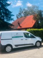 Jetzt den BESTPREIS sichern! Dach/Stein&Fassadenreinigung -50%% Sachsen - Delitzsch Vorschau