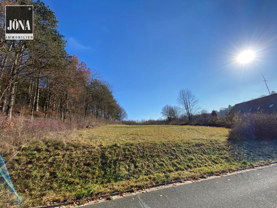 Ländliche Idylle - großzügiges Grundstück mit Wiese und Wald in Kirchleus in Kulmbach