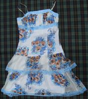 Abendkleid Träger-Kleid Max & DG 100% Seide Innen & BH Gr.36 gut Hessen - Hochheim am Main Vorschau