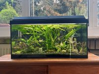 60 Liter Aquarium mit Filter, Heizstab und Beleuchtung Nordrhein-Westfalen - Hagen Vorschau
