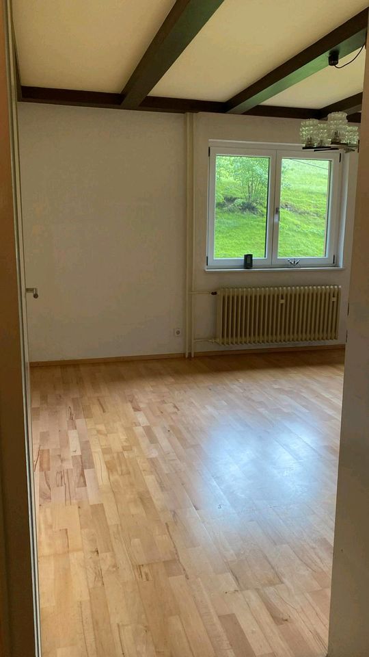 Helle 3 Zimmer Wohnung mit Balkon in Bad Peterstal-Griesbach