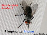 F4H Deluxe Insektenschutz-Fliegengitter Rheine Nordrhein-Westfalen - Rheine Vorschau