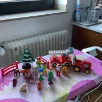 Playmobil 1.2.3. Waldtiere, Feuerwehrauto und Traktor Nordrhein-Westfalen - Viersen Vorschau