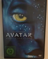 Avatar DVD Nordrhein-Westfalen - Detmold Vorschau