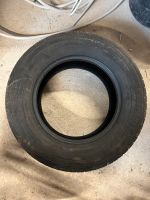 Sommerreifen 235/65R16C SEMPERIT Rheinland-Pfalz - Masburg Vorschau