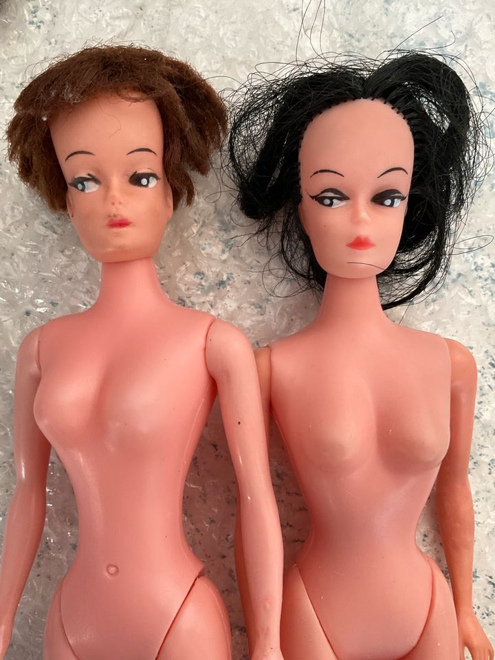 Künstlerpuppe Sammlerpuppe Charakterpuppe Barbie Alt in Bad Camberg