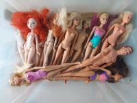 XXXL BARBIE, KEN, CAMPER, VILLA, VAN, CABRIO- PAKET Hessen - Homberg Vorschau