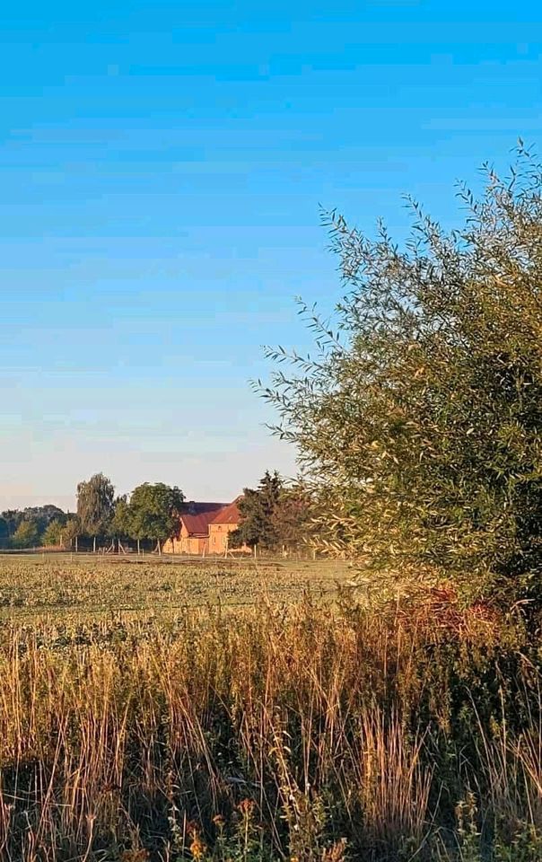 2 gegenüberliegende Höfe Dorfrand in MV arrondierte 3ha, Bauland in Berlin