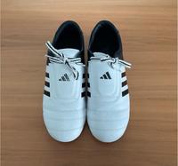 Adidas Kampfsportschuhe Kick 2  Gr. 40 2/3 EU Nordrhein-Westfalen - Vettweiß Vorschau