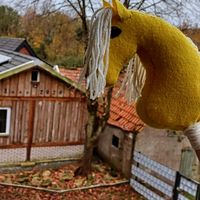 Hobby horse Fohlen Niedersachsen - Haselünne Vorschau