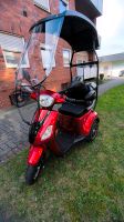 E-Mobil, E-Trike, Senioren Mobil Nordrhein-Westfalen - Hörstel Vorschau