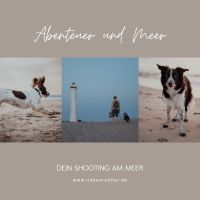 Fotoshooting am Meer - Hundefotografie Porträtfotografie Familie Schleswig-Holstein - Flensburg Vorschau