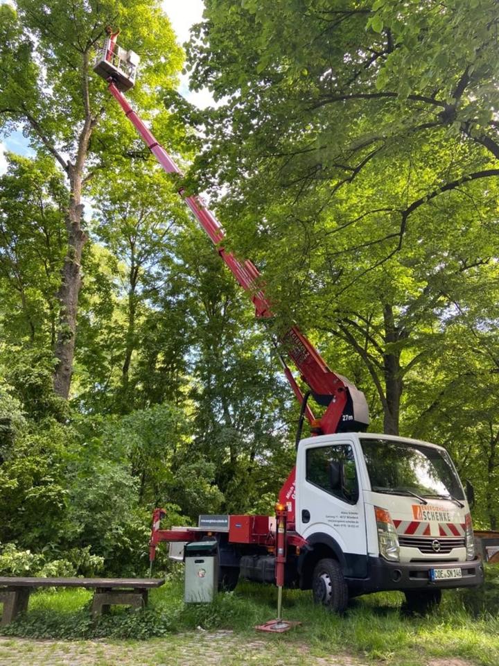 Garten- und Landschaftsbauer, Landwirt, Maschinenführer (m/w/d) in Billerbeck