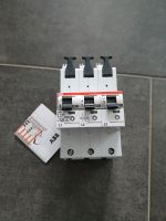 Sicherung ABB 35A Brotterode-Trusetal - Trusetal Vorschau