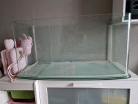 Terrarium für Hamster Obervieland - Arsten Vorschau