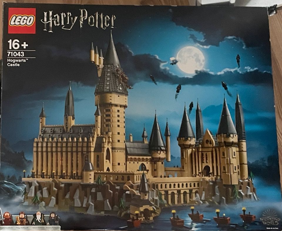 Lego Harry Potter 71043 Hogwarts™ Castle in Breisach am Rhein  