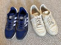 Schuhe Herren Adidas 43/44 Trezoid blau und weiße Sachsen - Niederwürschnitz Vorschau