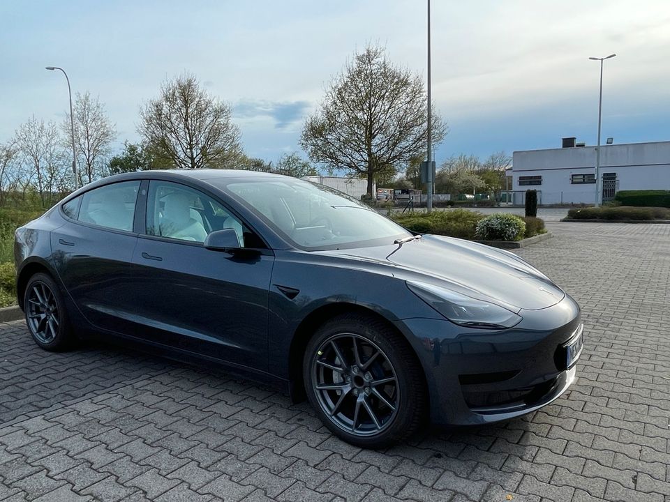 Tesla Model 3 RWD 60 kWh LFP Grau / Weiß SR+ in Hohenroth bei Bad Neustadt a d Saale