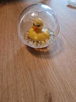 Fisher Price Entchenball Nordrhein-Westfalen - Bergisch Gladbach Vorschau