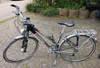 Pegasus Damen Fahrrad, Citybike 28 Zoll ❗lesen❗ Baden-Württemberg - Rottenburg am Neckar Vorschau