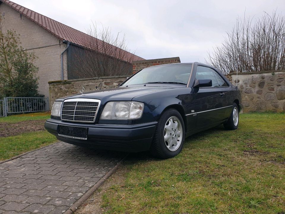 Mercedes 220CE in Schinne