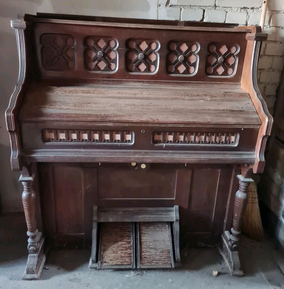 Tolles Harmonium in Salzwedel