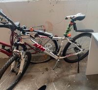 Fahrrad  KTM Sachsen-Anhalt - Gommern Vorschau