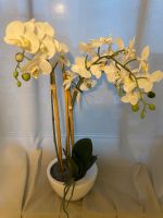 Kunst Orchideen zu verkaufen Nordrhein-Westfalen - Schwelm Vorschau