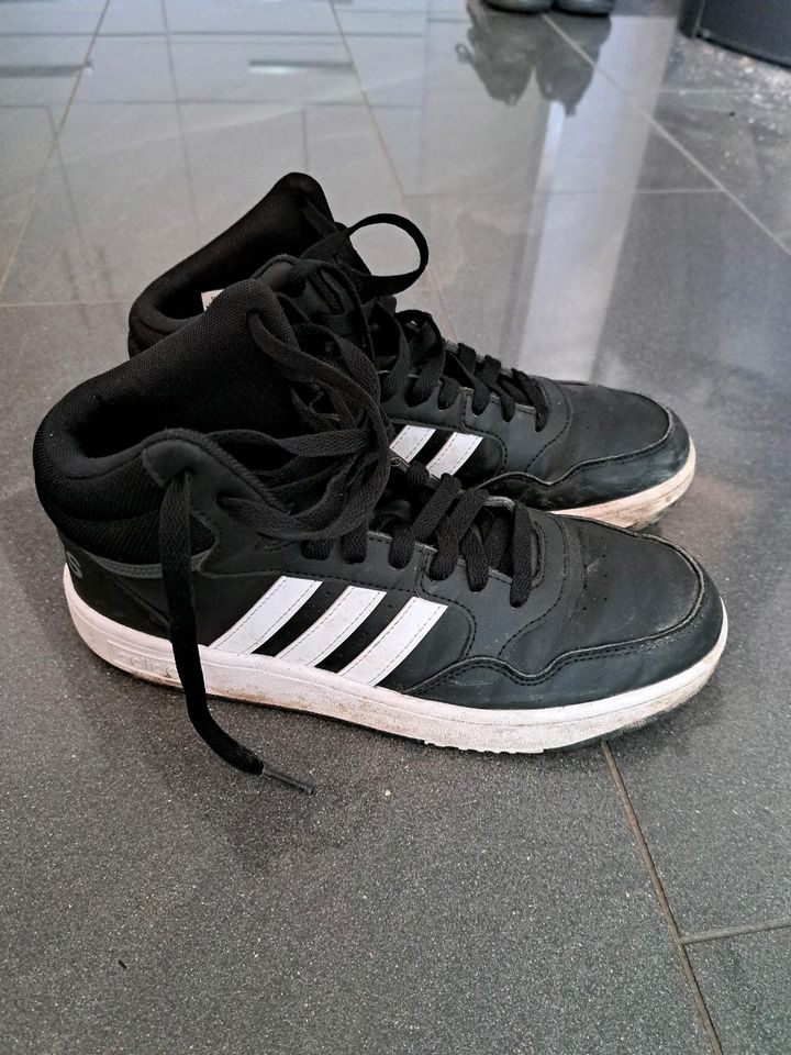 Adidas high sneaker 40 in Emsdetten