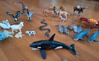 Schleich-Tiere, Sammlung, Delfin, Orka, Dino - für Selbstabholer Brandenburg - Guben Vorschau