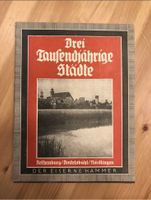 Antiquariat 1940 Buch tausendjährige Städte Rothenburg Nördlinge Dresden - Pieschen Vorschau