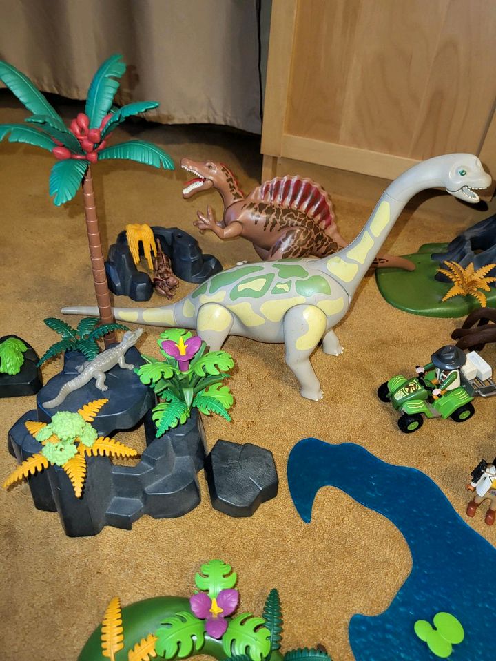 Großes Playmobil Dino Set in Hamburg