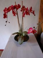 Kunstblume Orchidee Saarland - St. Ingbert Vorschau