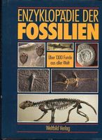 Buch Enzyklopädie der Fossilien Nürnberg (Mittelfr) - Nordstadt Vorschau