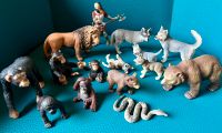 Schleich Figuren Konvolut unbespielt Altona - Hamburg Ottensen Vorschau