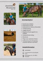 Horsemanship Kurse Bodenarbeit Pferdetraining Thüringen - Gotha Vorschau