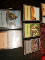 Mtg Magic the Gathering Arena League und Apac Länder Sets Nordfriesland - Viöl Vorschau