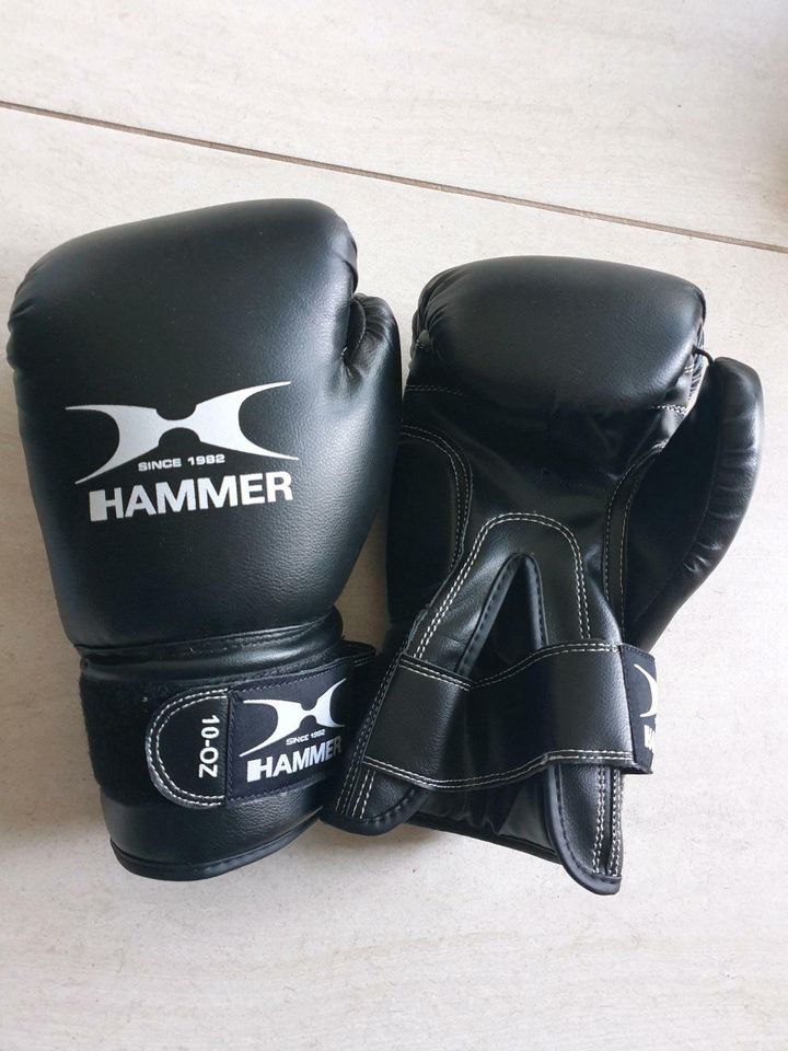 Hammer Boxhandschuhe 10-OZ in Dortmund