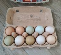 Frische Hühnereier Eier 10er Packung Thüringen - St Gangloff Vorschau
