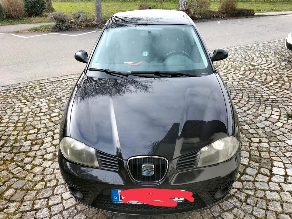 Seat Ibiza 6L in Wasserburg