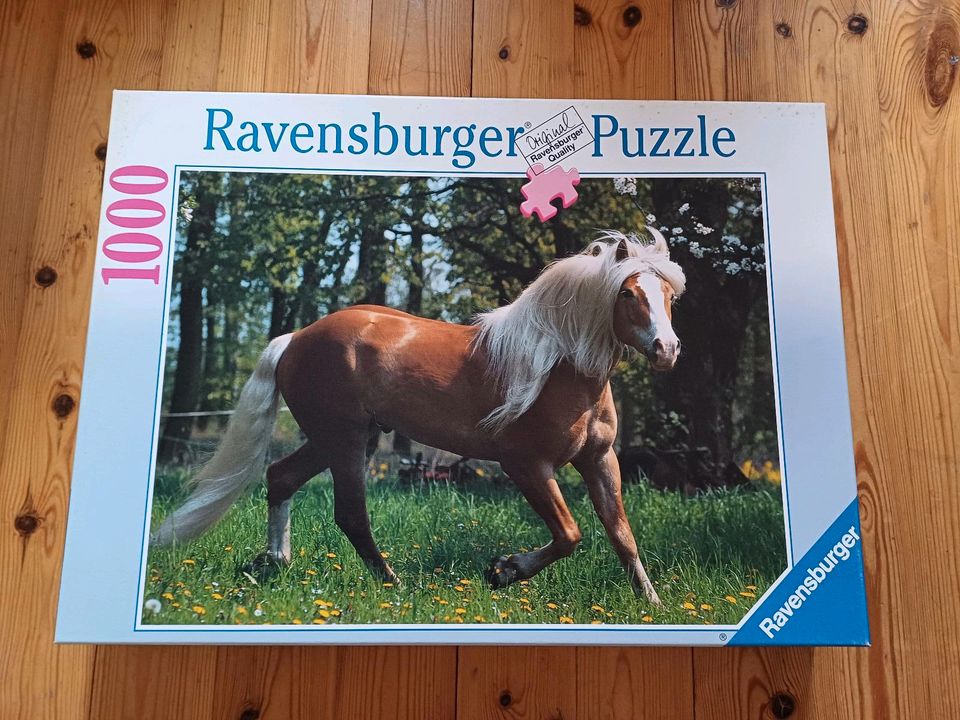 Puzzle Ravensburger Trabender Haflinger 1000 Teile in Schleswig-Holstein -  Böel | Weitere Spielzeug günstig kaufen, gebraucht oder neu | eBay  Kleinanzeigen ist jetzt Kleinanzeigen