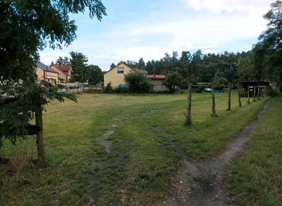 Wunderschönes Eckgrundstück - Bauland in Zossen-Wünsdorf