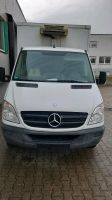 Mercedes Sprinter 516 cdi mit Kühlkoffer Nordrhein-Westfalen - Steinheim Vorschau