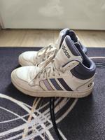 Schuhe, Sneaker Adidas Größe 6,5 bzw. 40 Nordrhein-Westfalen - Hürth Vorschau