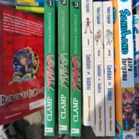 Kleine Manga Sammlung Schleswig-Holstein - Krempe Vorschau