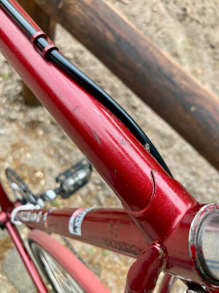 Gazelle Rennrad Vintage Olympia Race rot retro in Sottrum