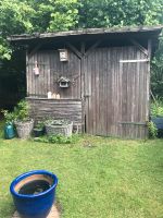 Schuppen Hütte für den Garten Nordrhein-Westfalen - Lienen Vorschau