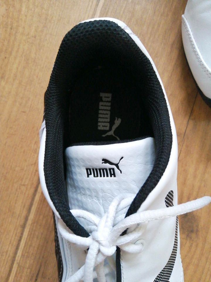 Puma Sneaker neuwertig Gr.38 in Velpke