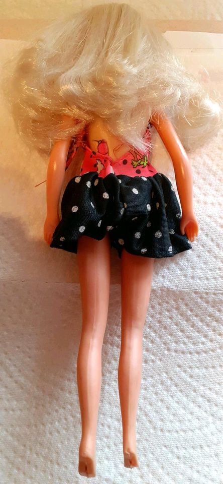 Barbie...Vintage Hasbro " Britt " Rarität!! in Grafenau